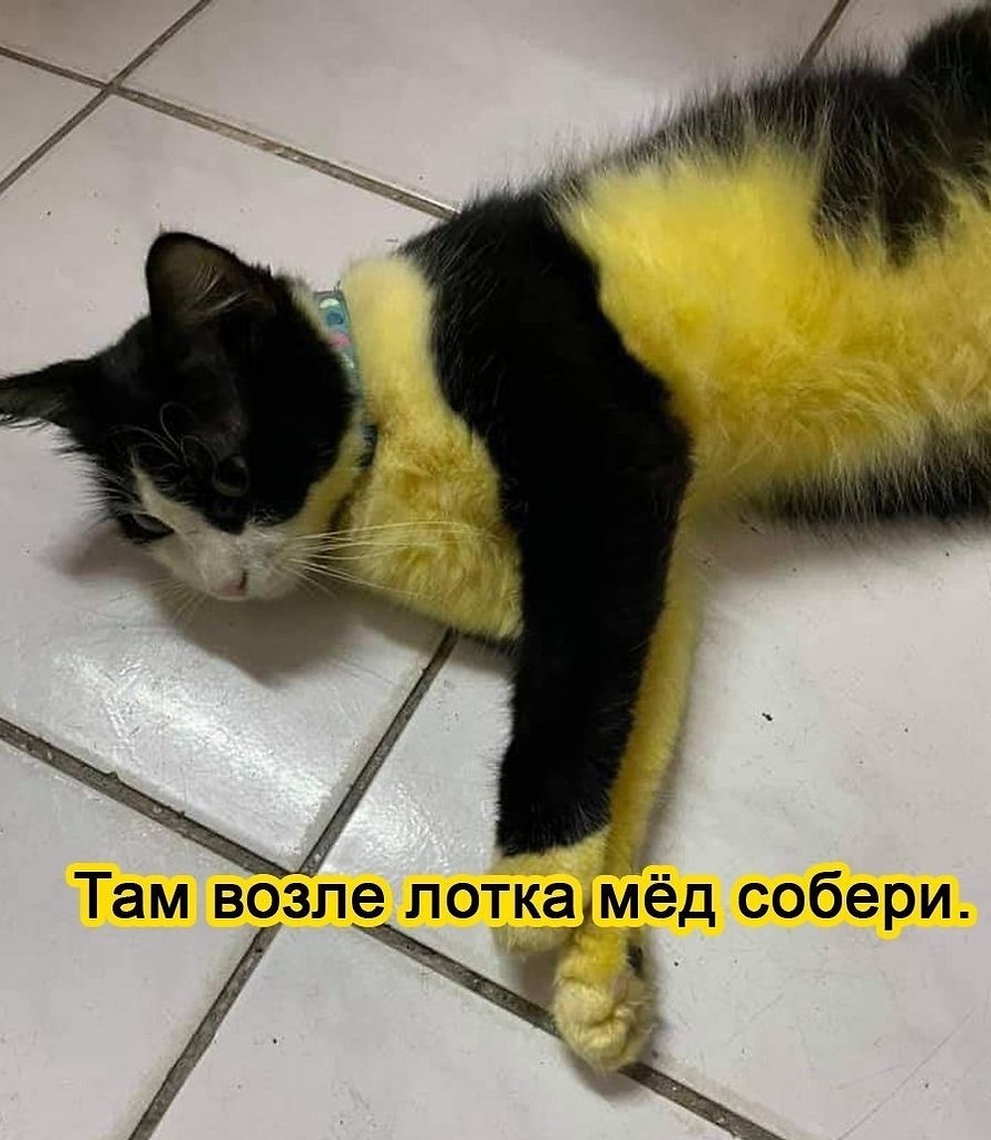      ,  -!  - 2