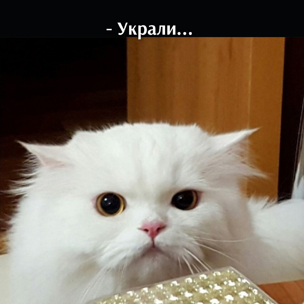       - 20  2021  16:14 - 2