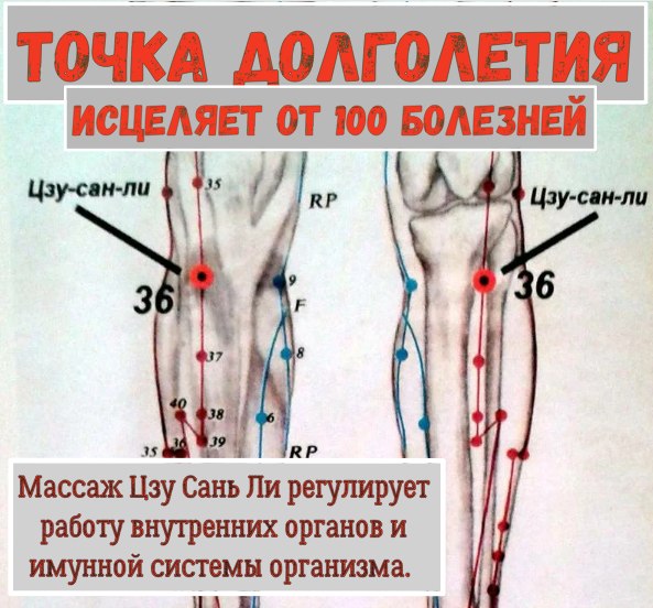    .   , , .    ,  ... - 2