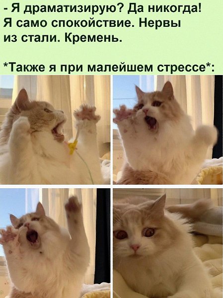   :D - 2  2022  14:47