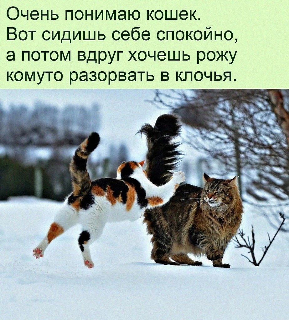   :D - 4  2021  14:21