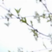 �����, 57 ���, ������