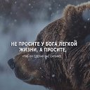 ���� ����� ��������))), ������������� - ��������� 26 ������ 2022 � ������ ������ ��������