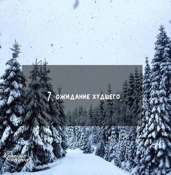 ��������� ���o� �e�a���a, o� �o�op�x c�o�� ���a����c� � 2022: - 7