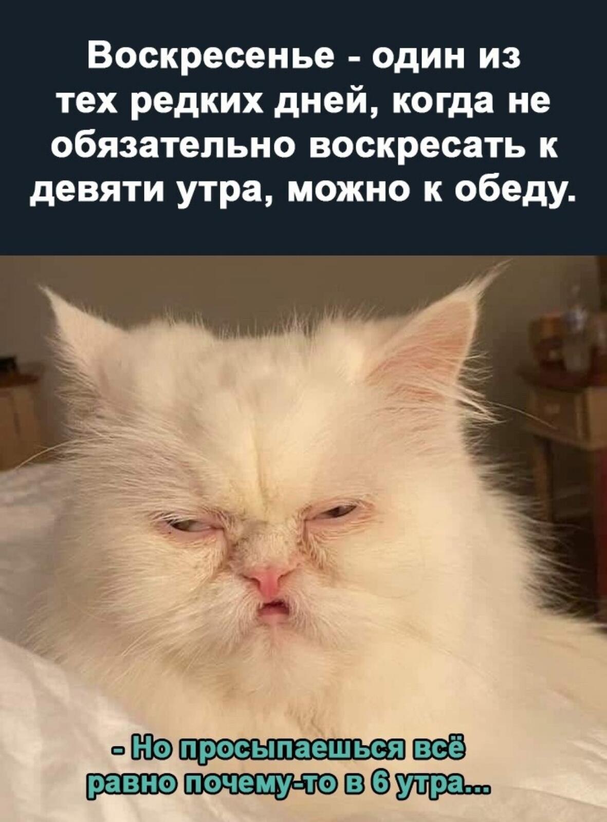 ***Victoria Viktorovna*** - 14  2021  13:33