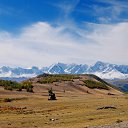  , -, 64  -  11  2022   - 