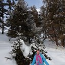 ���� ����������, ������ - ��������� 12 ������ 2022 � ������ ���� ����������