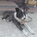 ���� ����, �������, 59 ��� - ��������� 8 ������ 2022 � ������ ���� ����������