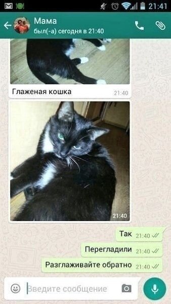 За глаженьем кошки нужен глаз да глаз! Шальная государыня - 2