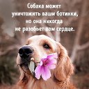  ,  -  16  2021    