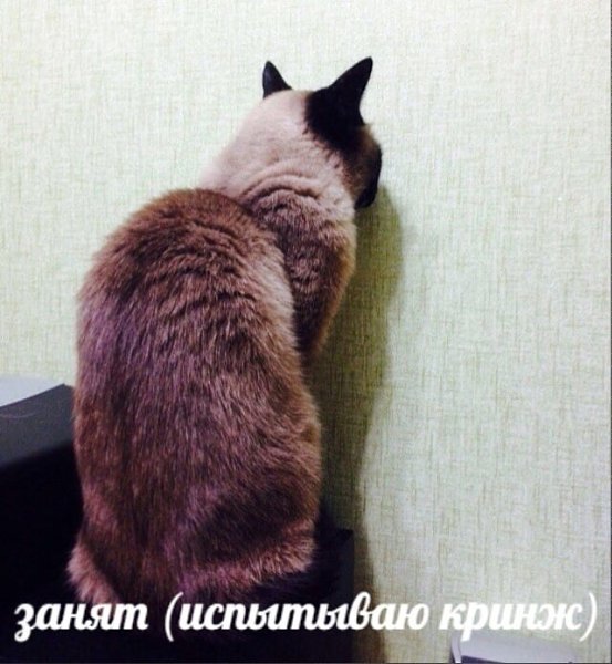 ������ �� �����, ������� ������ ������ ))))))
