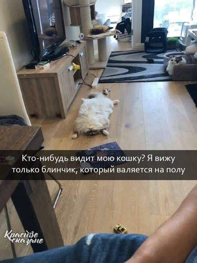 ee  ce  .
