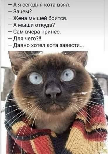   ! - 22  2021  14:49