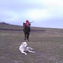 ���� ������, ������, 48 ��� - ��������� 18 ���� 2021