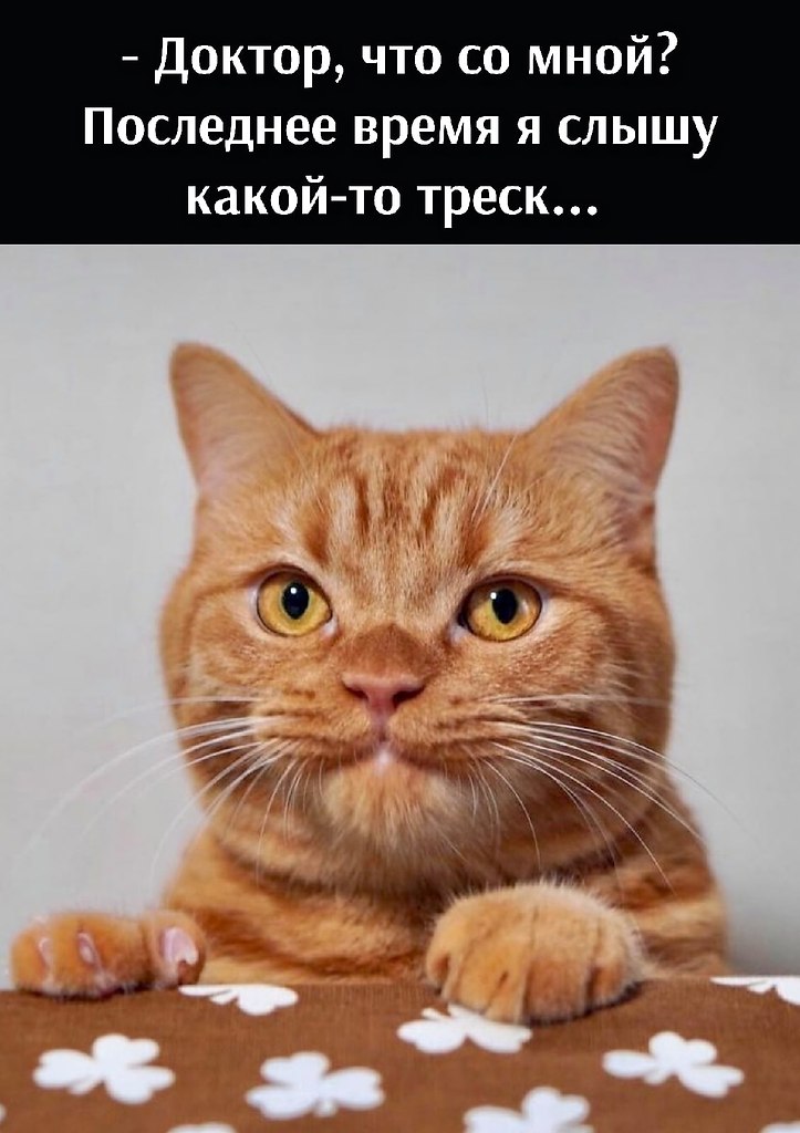       - 22  2021  13:19