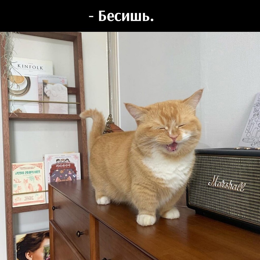       - 21  2021  09:42 - 6