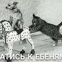���� �����, ��������, 53 ���� - ��������� 2 ������ 2021 � ������ ������Ż