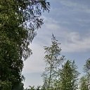 ���� ����, ����, 52 ���� - ��������� 16 ���� 2021 � ������ ���� ����������