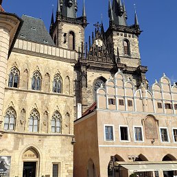 Nik, �������, 36 ���