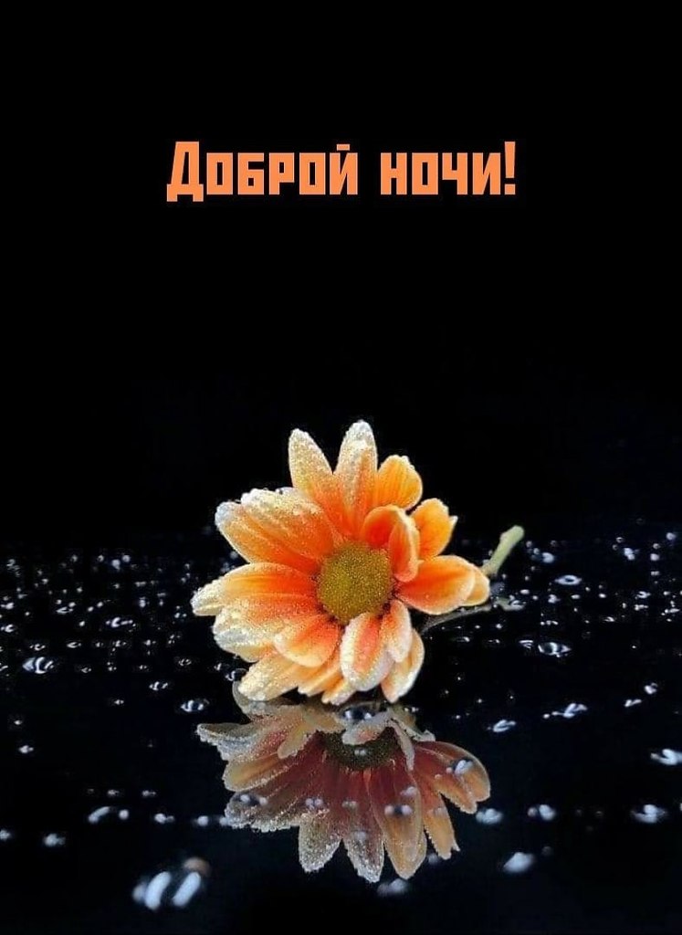   ,    . - 5  2021  22:41 - 7