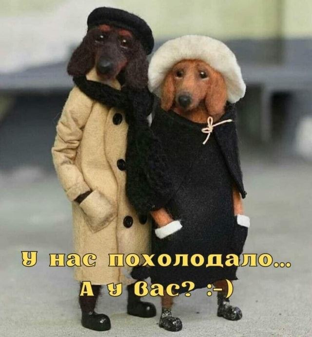   ! - 19  2021  15:50