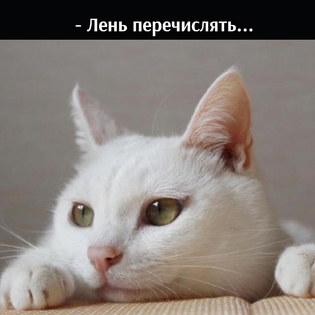       - 2  2021  10:12 - 4