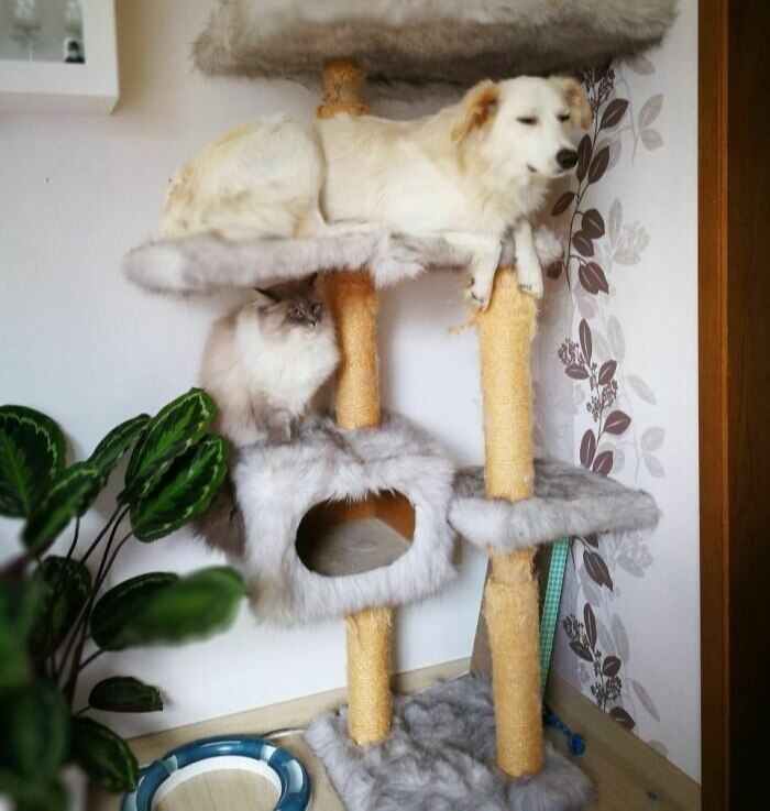   ,    )))) - 3