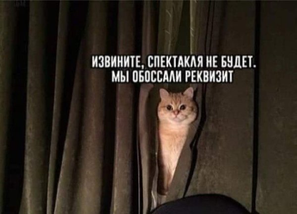   - 10  2021  20:26