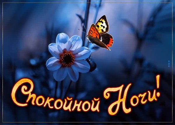 ����������� � ���������, �������� �� ������ ����. - 21 ���� 2021 � 18:34