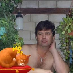 ���� ���������, ��������, 61 ��� - ��������� 9 ���� 2021