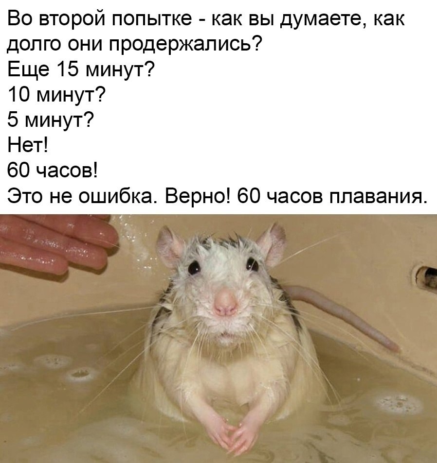 ,          ,     ... - 2