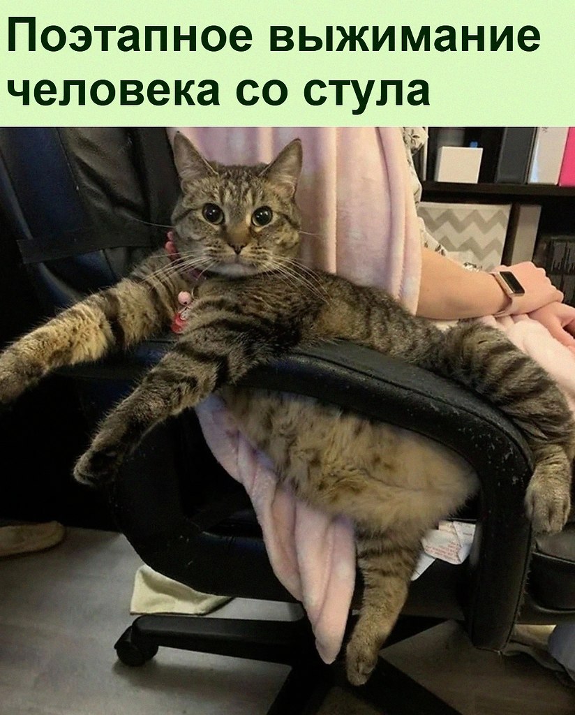   :D - 11  2021  16:21
