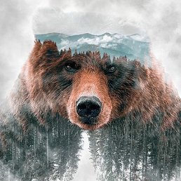 , , 37 