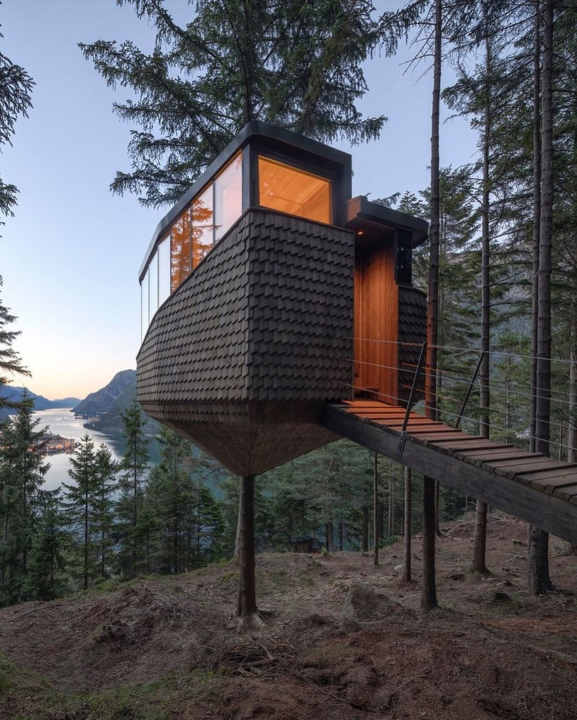        Woodnest Cabin, , .    ... - 6