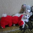 ���� Vladimir, ������ - ��������� 10 ��� 2021 � ������ ���� ����������