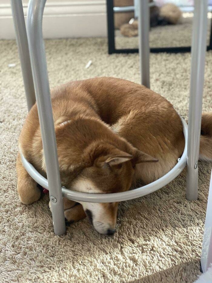     !