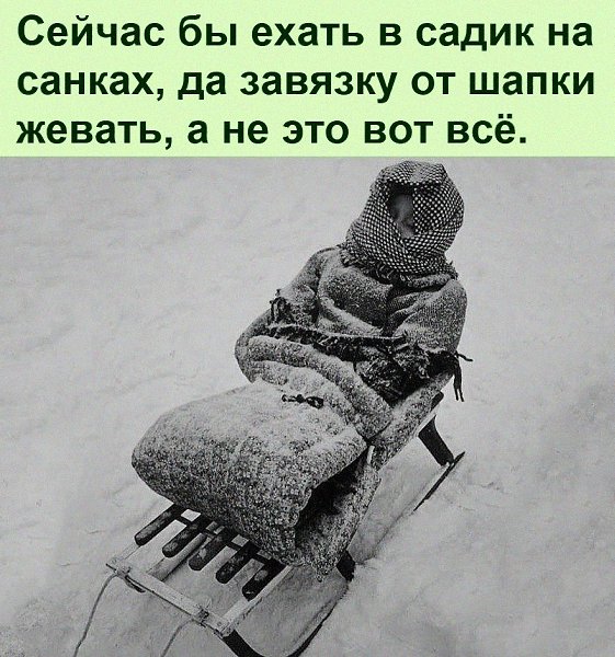   :D - 17  2022  06:41