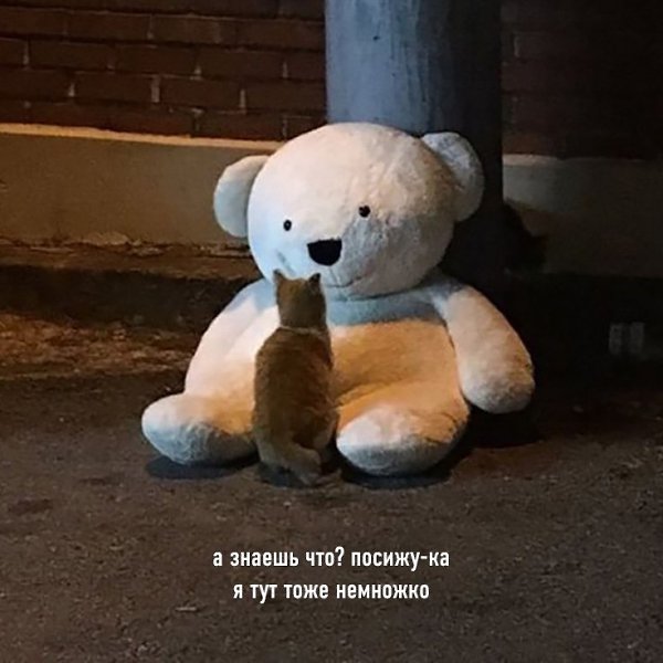 Иногда слова не нужны, достаточно того, чтобы кто-то просто посидел рядом - 3