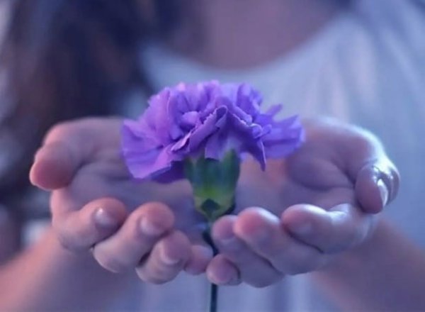   ,    . - 1  2021  16:28 - 7