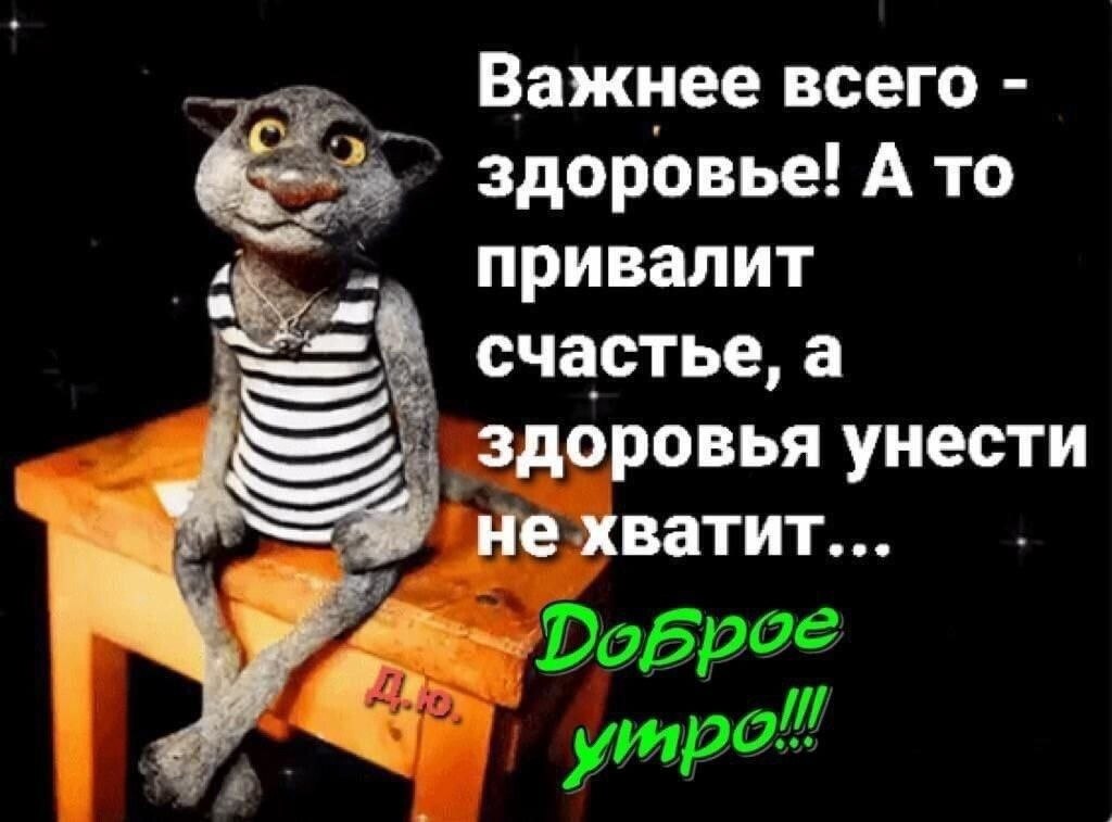   ,    . - 3  2021  23:28 - 5