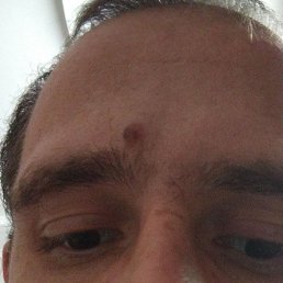 ������, ���������, 31 ���