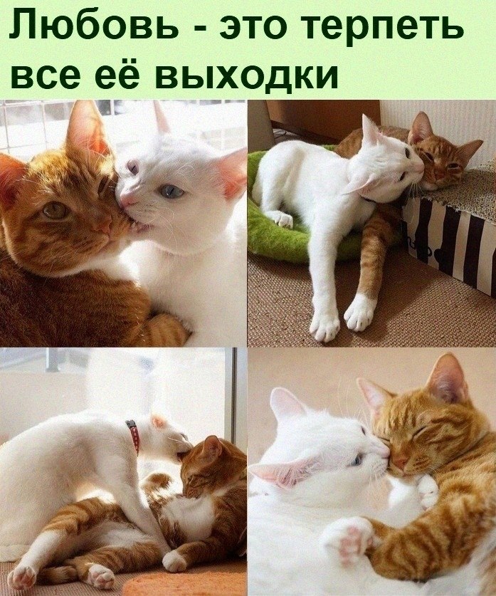   :D - 22  2022  06:15