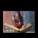 ���� ����������, ������ - ��������� 21 ������ 2021 � ������ ���� ����������