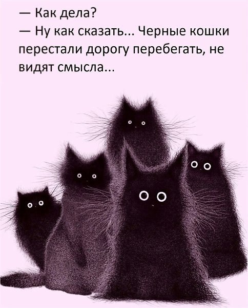  - 13  2022  11:01