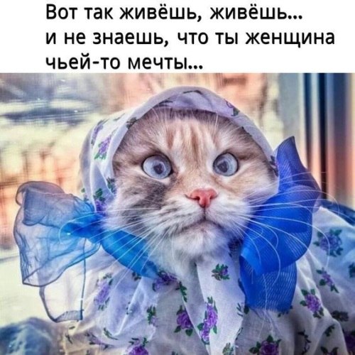   ! - 12  2021  07:37