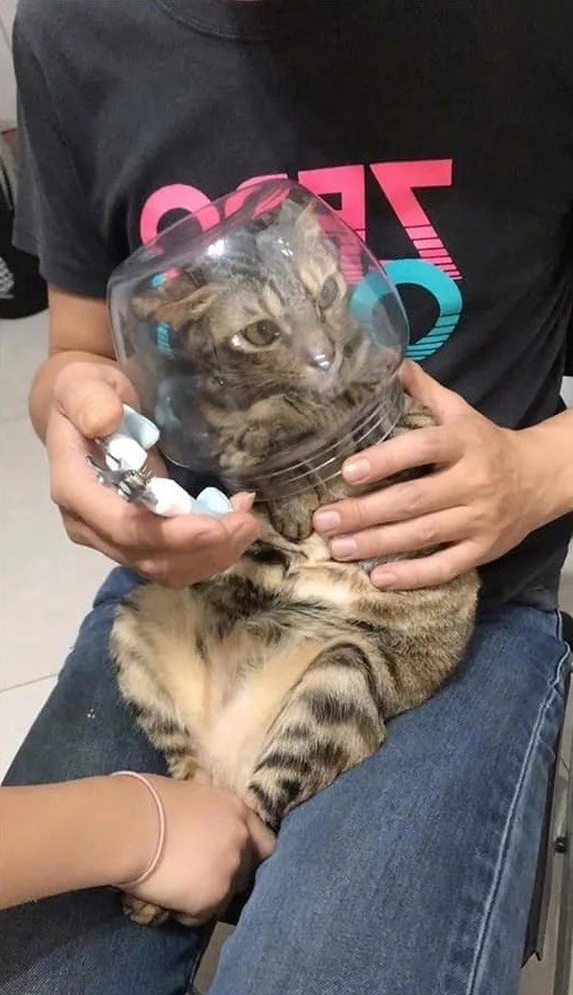 -.  .