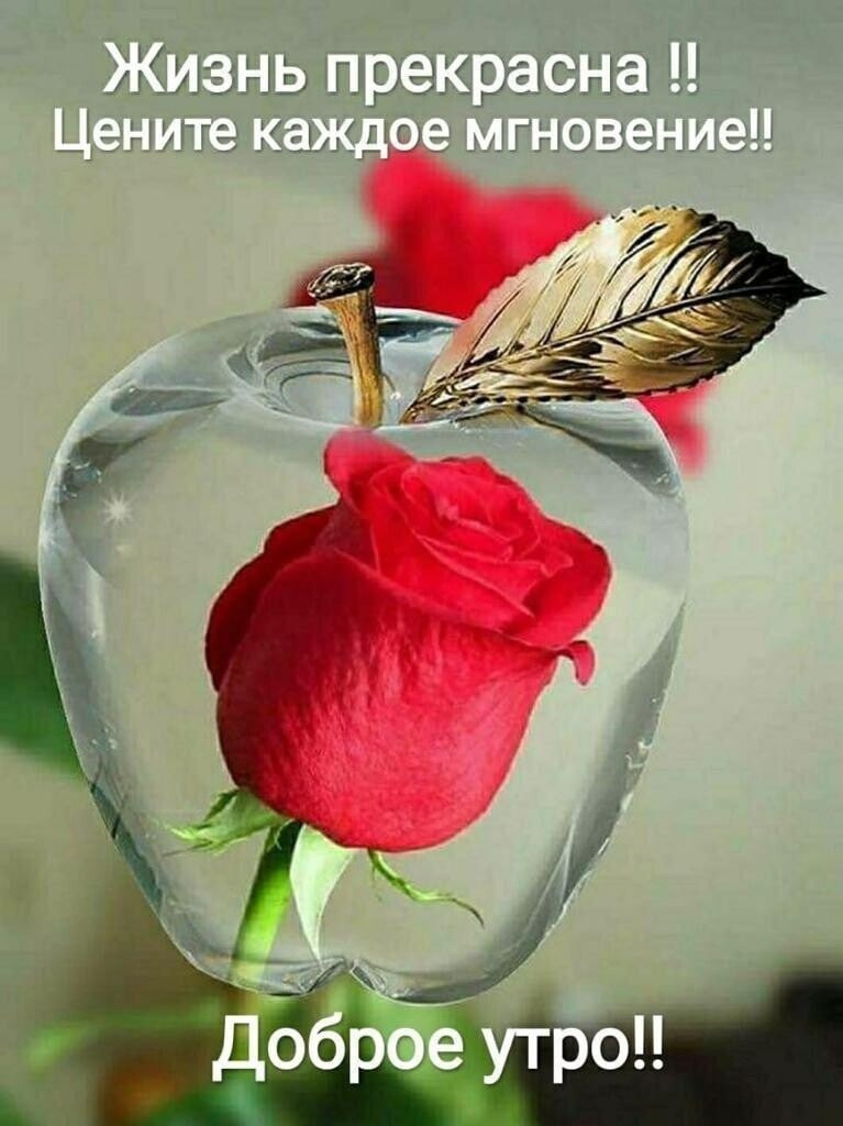   ,    . - 3  2021  23:28 - 3