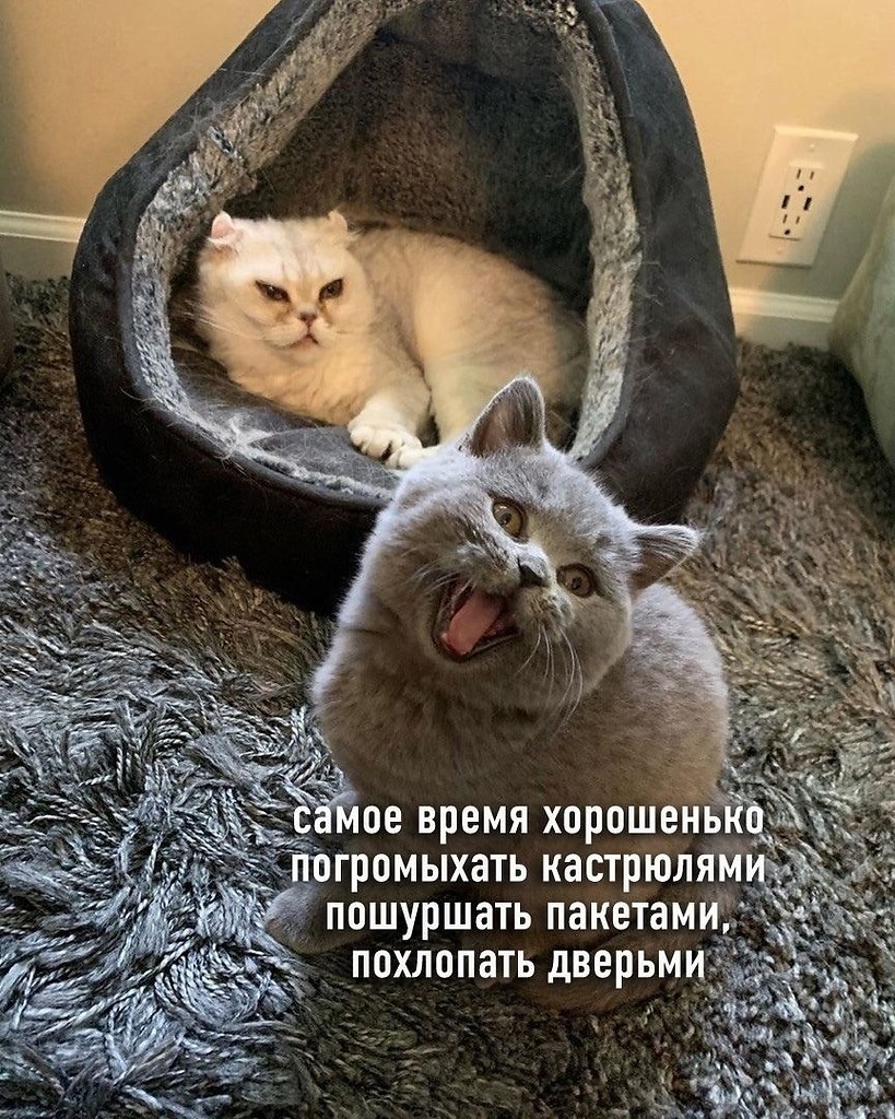 -         - 3
