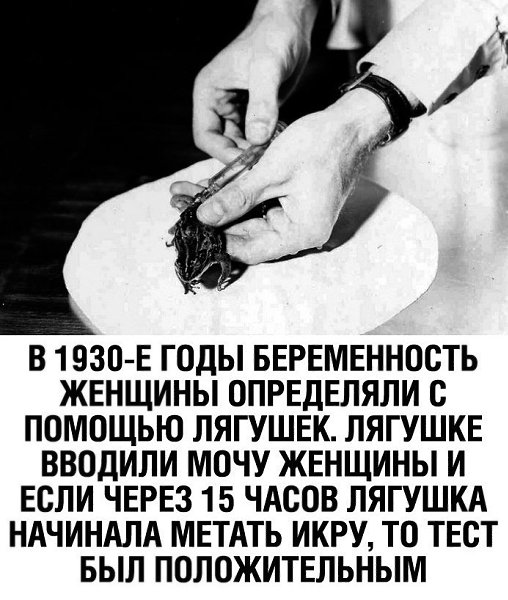  - 23  2021  21:28