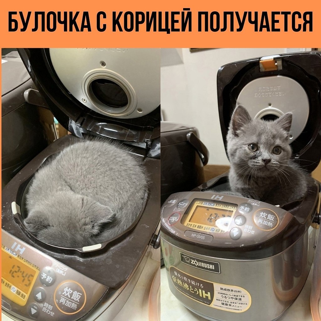   !
